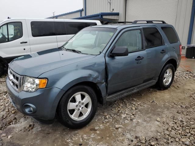 2010 Ford Escape XLT