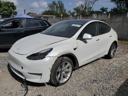 2021 Tesla Model Y for sale in Opa Locka, FL