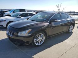 Salvage cars for sale at Grand Prairie, TX auction: 2011 Nissan Maxima S