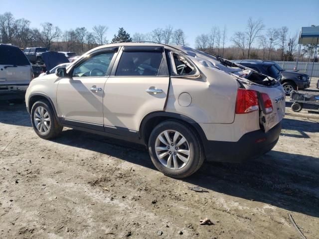 2011 KIA Sorento Base