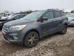 Salvage cars for sale at Hillsborough, NJ auction: 2017 Ford Escape SE