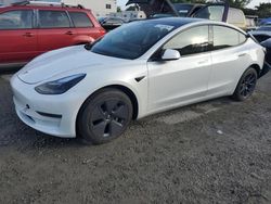 Salvage cars for sale from Copart Opa Locka, FL: 2023 Tesla Model 3