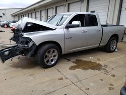 Salvage trucks for sale at Louisville, KY auction: 2010 Dodge RAM 1500