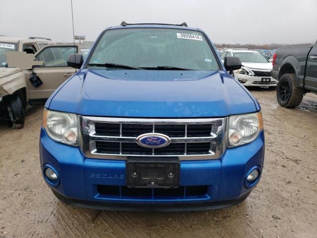 2011 Ford Escape XLT