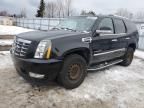 2012 Cadillac Escalade Hybrid