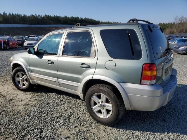 2006 Ford Escape HEV