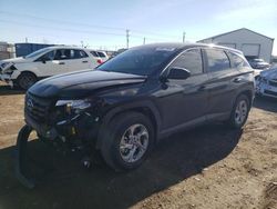 Salvage cars for sale at Nampa, ID auction: 2024 Hyundai Tucson SE