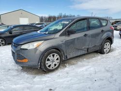 Ford Escape S salvage cars for sale: 2014 Ford Escape S