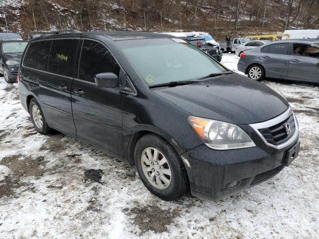 2010 Honda Odyssey EXL