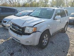 Salvage cars for sale from Copart Franklin, WI: 2010 Ford Escape Limited