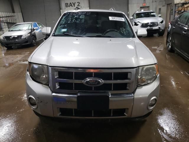 2009 Ford Escape Limited