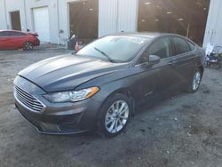 Salvage cars for sale from Copart Jacksonville, FL: 2019 Ford Fusion SE