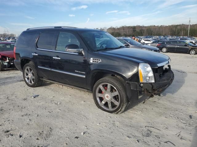 2011 Cadillac Escalade Premium