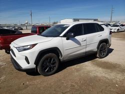 Salvage cars for sale at Temple, TX auction: 2023 Toyota Rav4 LE