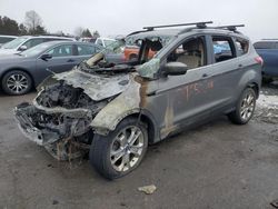 Salvage cars for sale at Ham Lake, MN auction: 2014 Ford Escape SE