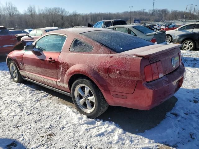 2007 Ford Mustang