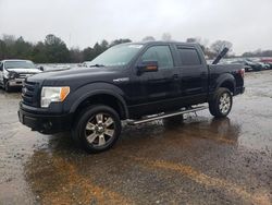 Salvage cars for sale from Copart Mocksville, NC: 2010 Ford F150 Supercrew