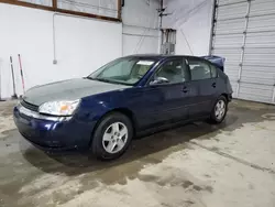 Salvage cars for sale from Copart Lexington, KY: 2004 Chevrolet Malibu LS