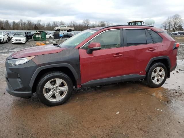 2019 Toyota Rav4 XLE