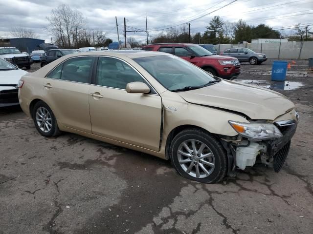 2010 Toyota Camry Hybrid