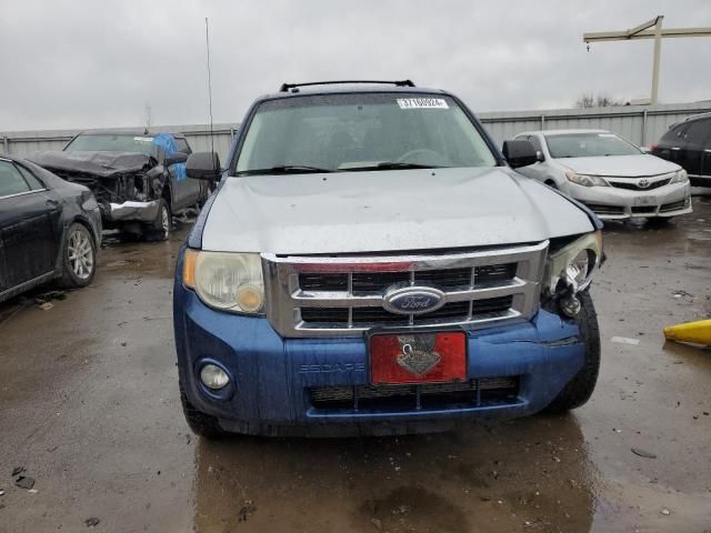 2008 Ford Escape XLT