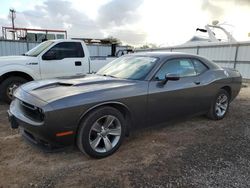 Dodge salvage cars for sale: 2019 Dodge Challenger SXT