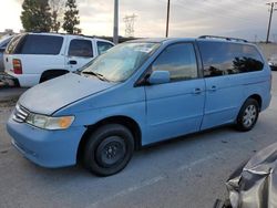 Salvage cars for sale from Copart Rancho Cucamonga, CA: 2003 Honda Odyssey EXL