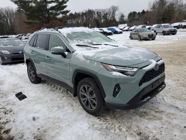 2023 Toyota Rav4 XLE Premium