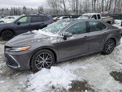 Toyota Camry salvage cars for sale: 2024 Toyota Camry XLE