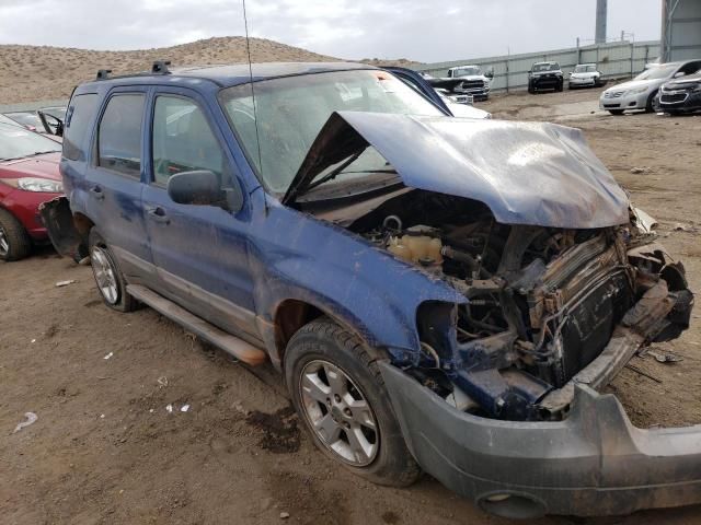 2007 Ford Escape XLT