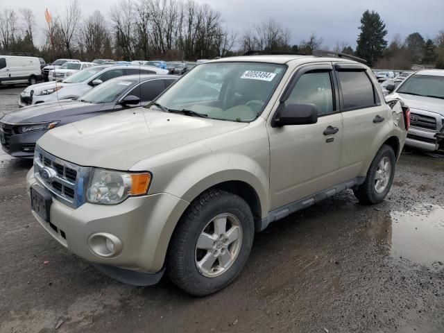 2012 Ford Escape XLT