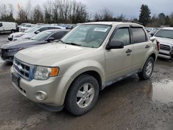 Ford Escape XLT salvage cars for sale: 2012 Ford Escape XLT