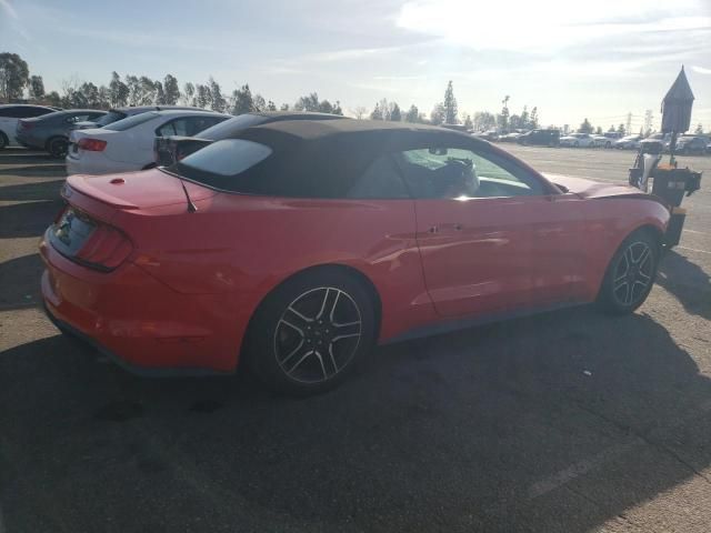 2019 Ford Mustang