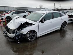 Salvage cars for sale at New Britain, CT auction: 2021 KIA K5 GT Line