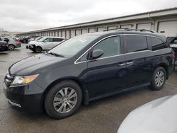 Salvage cars for sale at Louisville, KY auction: 2014 Honda Odyssey EXL