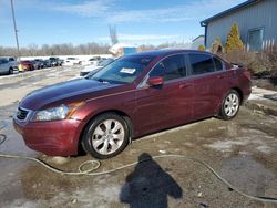 Salvage cars for sale at Louisville, KY auction: 2008 Honda Accord EXL