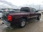 2005 Dodge Dakota SLT