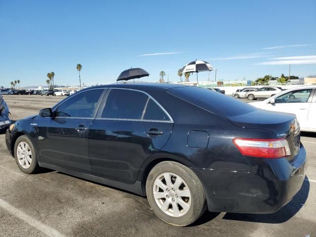 2009 Toyota Camry Hybrid