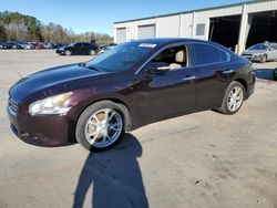 Salvage cars for sale at Gaston, SC auction: 2014 Nissan Maxima S