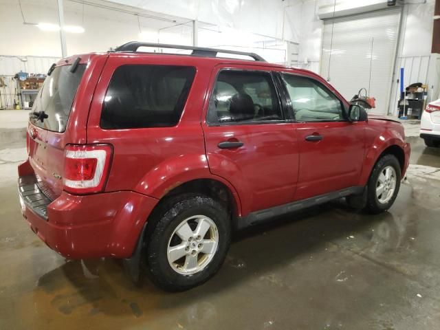 2009 Ford Escape XLT