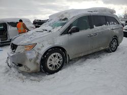 Salvage cars for sale at Wayland, MI auction: 2013 Honda Odyssey EXL