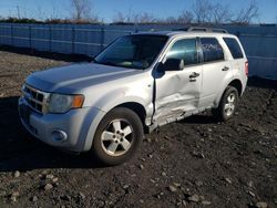 Ford Escape Vehiculos salvage en venta: 2008 Ford Escape XLT