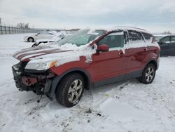 2014 Ford Escape SE for sale in Magna, UT