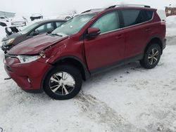 Salvage cars for sale from Copart Montreal Est, QC: 2018 Toyota Rav4 Adventure