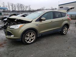 Salvage cars for sale at Spartanburg, SC auction: 2013 Ford Escape SEL