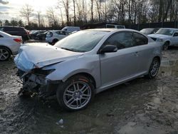 Scion salvage cars for sale: 2008 Scion TC