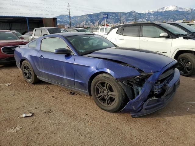 2013 Ford Mustang