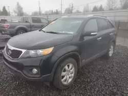 Salvage cars for sale from Copart Portland, OR: 2013 KIA Sorento LX