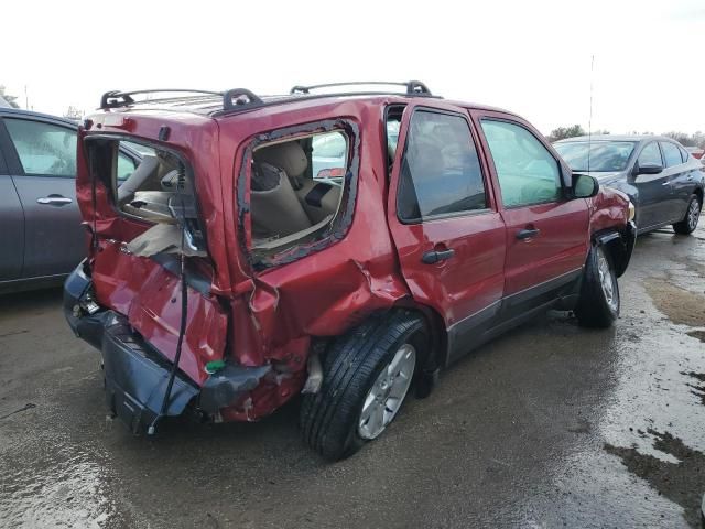 2007 Ford Escape XLT