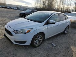 Ford Focus SE salvage cars for sale: 2016 Ford Focus SE